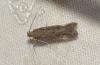 266423 – Photo : Hazel West – France (17)